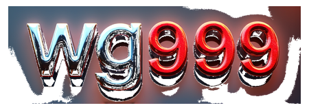 wg999 logo